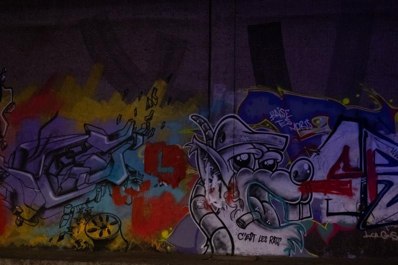 Le Tunnel des Tuileries